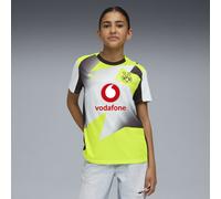 PUMA Maillot Away 25/26 Borussia Dortmund Enfant et Adolescent, Vêtements, Silver Mist/Jaune Alert, 15-16Y 15-16Y