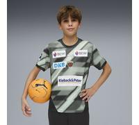 PUMA Maillot Away 25/26 Füchse Berlin Enfant et Adolescent, Accessoires, Noir, 15-16Y 15-16Y