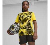 PUMA Maillot d’avant-match à manches courtes Borussia Dortmund Enfant et Adolescent, Vêtements, Faster Jaune/Noir, 15-16Y 15-16Y