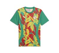 PUMA Maillot d’avant-match Sénégal 2025 Homme, Sport, Sport Vert/Faster Jaune/Rouge, XXL XXL