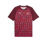 PUMA Maillot d’échauffement Suisse Homme, Accessoires, Rouge, L L