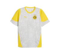 PUMA Maillot d’entraînement Borussia Dortmund Homme, Accessoires, Gris, S S
