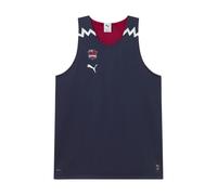 PUMA Maillot de basketball réversible Saski Baskonia Homme, Vêtements, Bleu, S S