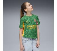 PUMA Maillot de gardien de but 25/26 AC Milan Enfant et Adolescent, Vêtements, Archive Vert/Intense Orange, 11-12Y 11-12Y