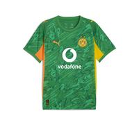 PUMA Maillot de gardien de but à manches courtes 25/26 Borussia Dortmund Homme, Accessoires, Vert, L L