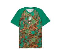 PUMA Maillot d'échauffement Côte d'Ivoire Homme, Accessoires, Vert, S S