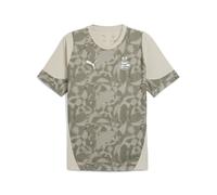 PUMA Maillot d'entraînement PSV Eindhoven Homme, Accessoires, Beige, L L