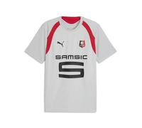 PUMA Maillot d'entraînement Stade Rennais FC Homme, Accessoires, Gris, M M