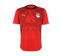 PUMA Maillot 'EFA Home' rouge / rouge foncé / noir / blanc, Taille XXL