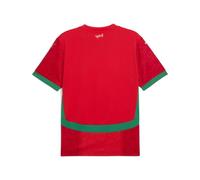 Puma Maillot Home 2025 Maroc Homme, Vêtements, Rouge/Archive Vert, S