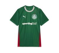 PUMA Maillot Home 2026 Palmeiras Torcedor Homme, Accessoires, Vert, M M