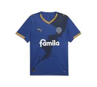 PUMA Maillot Home 25/26 Holstein Kiel Homme, Accessoires, Bleu, XS XS