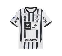 PUMA Maillot Home 25/26 THW Kiel Homme, Accessoires, Blanc, XL XL