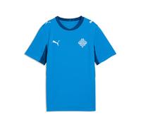 PUMA Maillot Home Islande 2026 Enfant et Adolescent, Accessoires, Bleu, 7-8Y 7-8Y