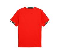 Puma Maillot Portugal 2025 Domicile Homme, Vêtements, Sport Rouge/Sugarouge Almond, M