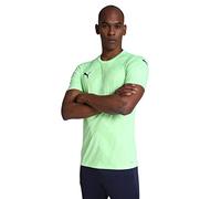 PUMA Maillot Teamglory Pull Homme