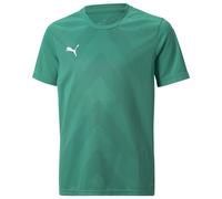 PUMA Maillot teamGLORY - Vert/Blanc Enfant 128 cm