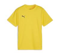 PUMA Maillot teamGOAL Jr