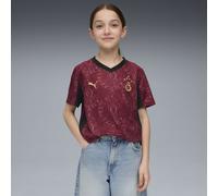 PUMA Maillot Third 25/26 Galatasaray SK Enfant et Adolescent, Vêtements, Regal Rouge/Doré, 7-8Y 7-8Y