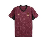 PUMA Maillot Third 25/26 Galatasaray SK Homme, Accessoires, Rouge, XS XS