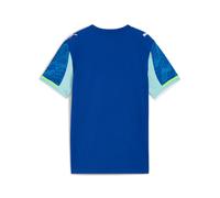Puma Maillot Third 25/26 Olympique De Marseille Enfant Et Adolescent, Vêtements, Vivid Bleu/Azure, 13-14y