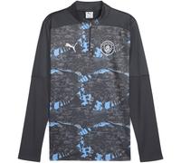 Puma Manchester City Pre Match Quarter-Zip Top 2024 2025 Adults Cool Gris/Gris L Male
