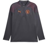 Puma Manchester City Training Quarter Zip Top 2023 2024 Adults Gris XL Male