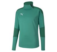 Puma Men's Teamfinal 21 Trainin Final Training Fleece, Pepper/Power Green, Large