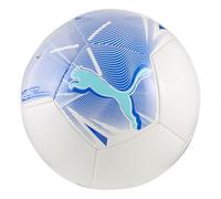 PUMA Mini Balle Big Cat