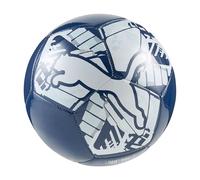 Puma Mini Ballon De Football Big Cat