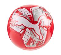 PUMA Big Cat Miniball Balles d'entraînement Mixte (lot de 1)