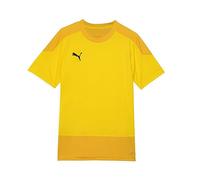 PUMA Mixte enfant Teamgoal 23 Training Jersey Jr T Shirt, Cyber Yellow-spectra Yellow, FR : Taille unique (Taille Fabricant 116) EU