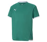 PUMA Mixte Enfant Teamliga Jersey Jr Shirt, Pepper Green-puma White, 128 EU