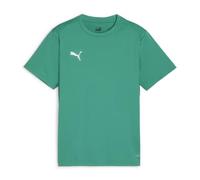 PUMA Mixte Maillot Teamgoal Jr Tee, Vert Sport/Blanc Puma, 140 EU