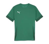 PUMA Mixte Match Teamgoal Jr Maillot De Football, Vert Sport-puma Blanc-Vert, 116 EU