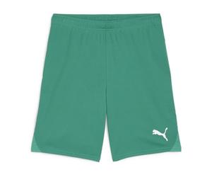 PUMA Mixte Teamgoal Jr Short Tricoté, Vert Sport/Blanc Puma, 152 EU