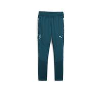 Puma Neymar Jr Creativity Training Pants Jr 65895713 Kinder