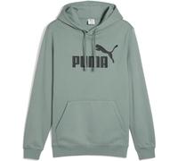 Puma No1 Oth Hoodie Mens Lune Verte S Male