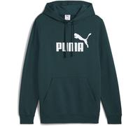 Puma No1 Oth Hoodie Mens Terrain vert S Male