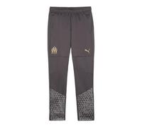 Puma Om Pantalon Training Gris Junior 2023/2024 Gris 10 Ans