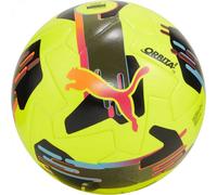 Puma Orbit 2 TB FIFA Quality Pro football 84323 03