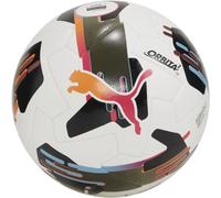 Puma ORBITA 2 TB FIFA QUALITY PRO BLANC 5