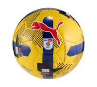 Puma Orbita 6 EFL Sky Bet Ballon de football d'entraînement 25/26 Jaune/multicolore Taille 5