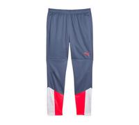 PUMA Pantalon d'entraînement Individualcup en Tricot pour Homme