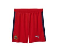 PUMA Pantalon de sport 'SK Rapid Wien 2025/2026' marine / vert clair / rouge / blanc, Taille L