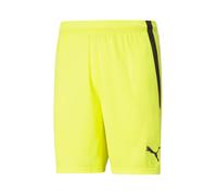 PUMA Short teamLIGA