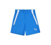 PUMA Pantalon de sport 'TeamLiga' azur / gris clair / blanc, Taille 116