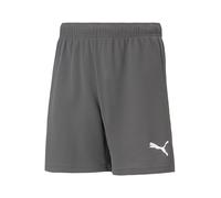 PUMA Pantalon de sport 'TeamRise' gris / blanc, Taille L