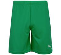 PUMA Pantalon de sport 'TeamRise' vert / blanc, Taille S