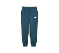 PUMA Pantalon de survêtement Essentials Femme M Cold Green ┃Pantalon de Sport à Coupe régulière pour Femmes